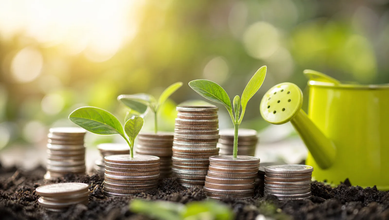 Pièces de monnaie et jeunes pousses avec un arrosoir