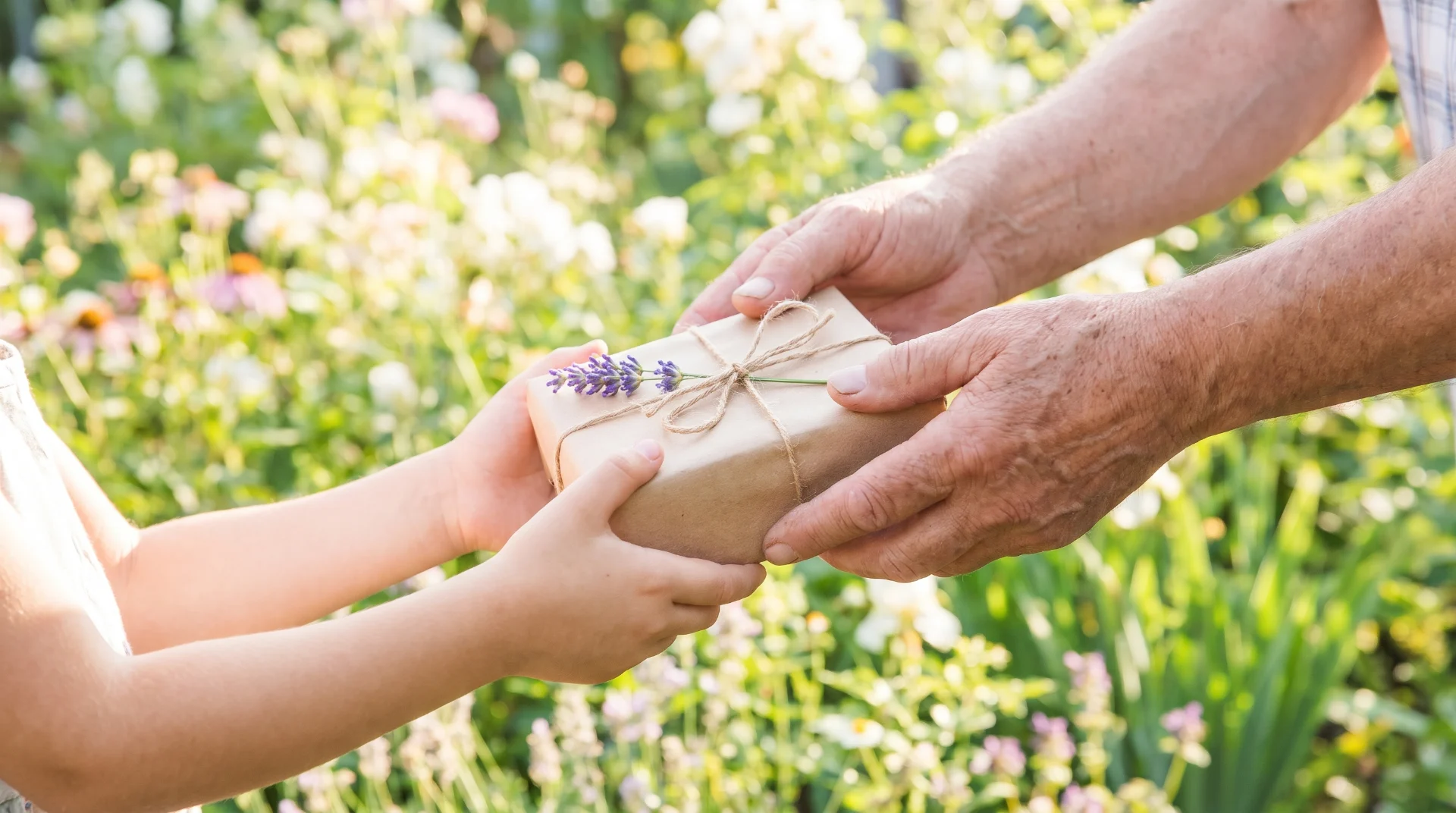 Mains d'un grand-parent remettant un petit cadeau à un enfant dans un jardin ensoleillé